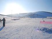 Beginner slope