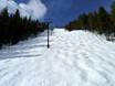 Ski resorts for advanced skiers and freeriding Purcell Mountains – Advanced skiers, freeriders Kimberley