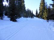 Trail in the Černá hora ski area