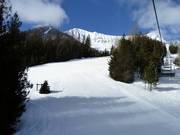 Downhill Elk