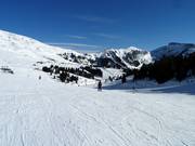 Easy slope Pampeago