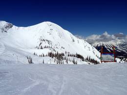 Fernie