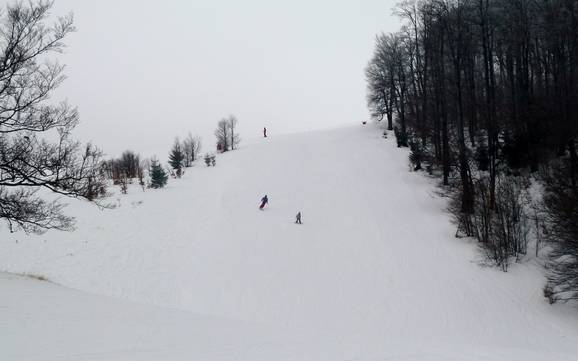 Slope offering Staré Hory Mountains (Starohorské vrchy) – Slope offering Donovaly (Park Snow)