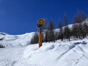 High-performance snow cannon in Saas-Fee