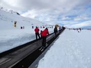 Coronet Peak Carpet 3 - People mover