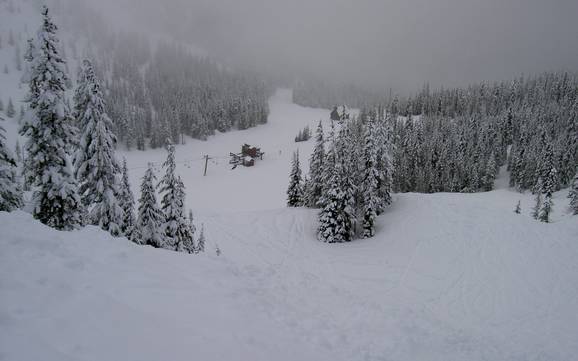 Mount Hood : size of the ski resorts – Size Mt. Hood Skibowl