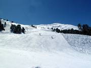 Alm descent (Fiss)