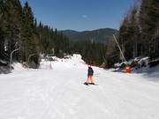 Easy slope 6 in the ski area
