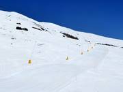 Cotschna slope