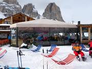 Salei umbrella bar