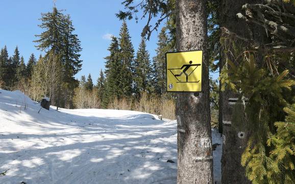 Cross-country skiing Smolyan – Cross-country skiing Pamporovo