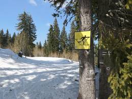 Pamporovo
