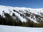 View of the challenging slopes on Bald Mountain