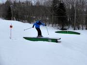 Parc Intro Stoneham
