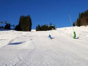 Weltcup (World Cup) slope
