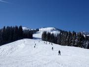 Schatzberg downhill run
