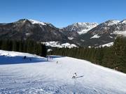 Run No. 1 Hornspitz-Russbach