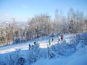 Meeting point for families from Lennestadt – the Hohe Bracht ski area