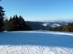 St. Englmar: size of the ski resorts – Size Markbuchen/Predigtstuhl (St. Englmar)