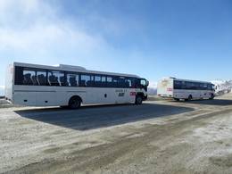 Cardrona