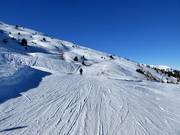 Slope See-Egg