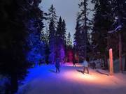 Night skiing