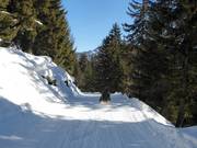 Toboggan run