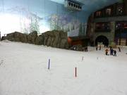 The lower beginner area