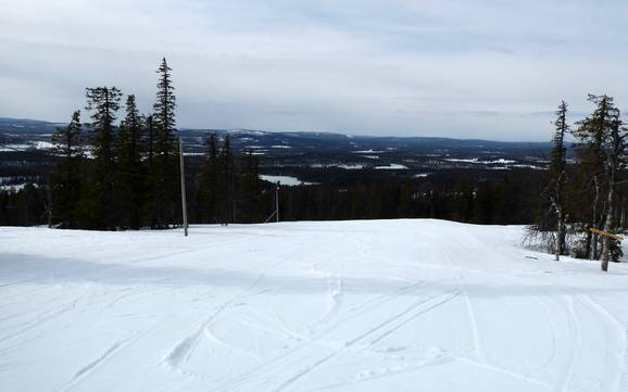 Skiing in Kåbdalis
