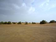 The expansive desert