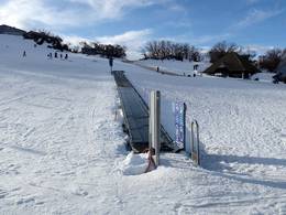 Ski Carpet No. 2