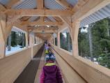 Conveyor belt 100 m with wooden tunnel