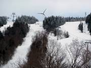 Runs at Vista Peak