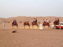 Sandboarding Dubai