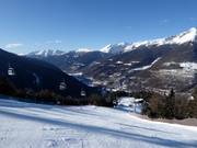 Runs through forest glades between Ponte di Legno and Temù