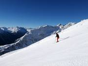 Black Panorama run