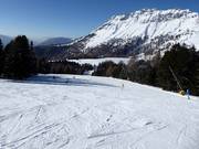 Easy slope Zirmes
