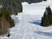 Hinterdorf Run