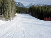 Easy slope in the valley area