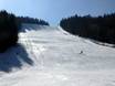 Slope offering Southern Black Forest – Slope offering Menzenschwand (St. Blasien) – Spießhorn