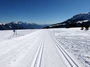 Prodalp Panorama Trail