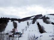 Wide forest clearing slopes with snowpark