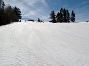 Wide slope Friedl's