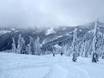 Ski resorts for advanced skiers and freeriding Western Canada – Advanced skiers, freeriders Red Mountain Resort – Rossland