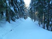 Holzknechtweg