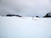 View of the Sinswanger ski slope