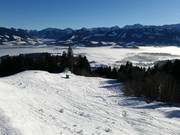 Powder tracks