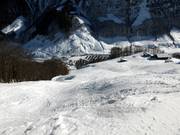Powder tracks off the valley run