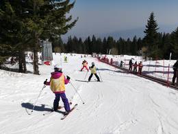 Vitosha/Aleko – Sofia