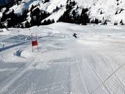 Race track with timekeeping
